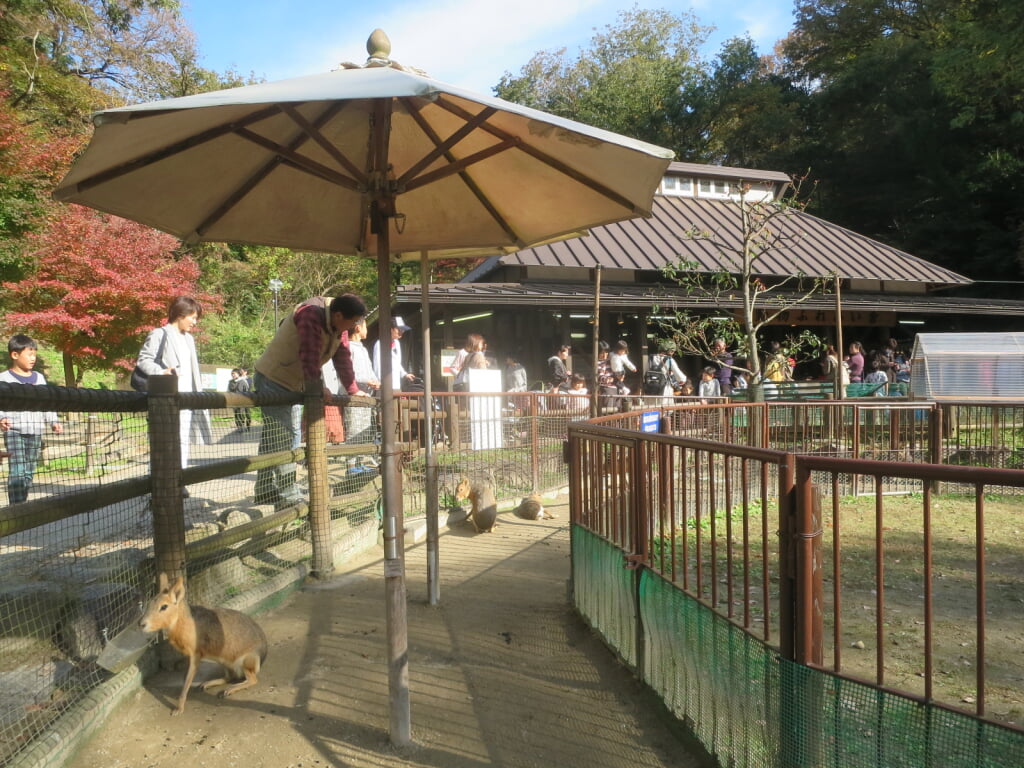 岡崎市東公園動物園の写真 ©Evelyn-rose(CC0)