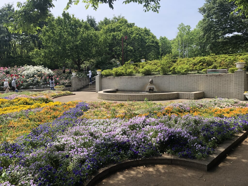 智光山公園の写真 