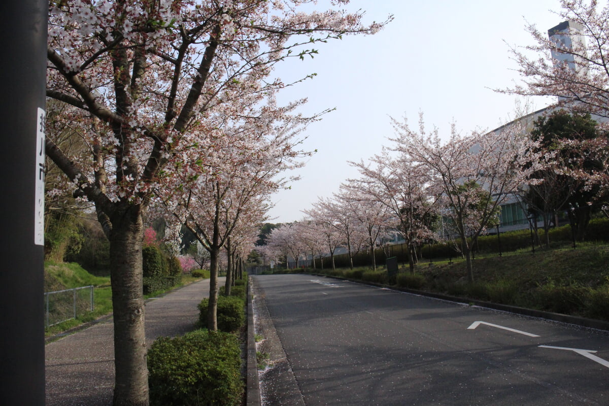 22世紀の丘公園の写真 ©観光・CP課(CC BY 4.0)