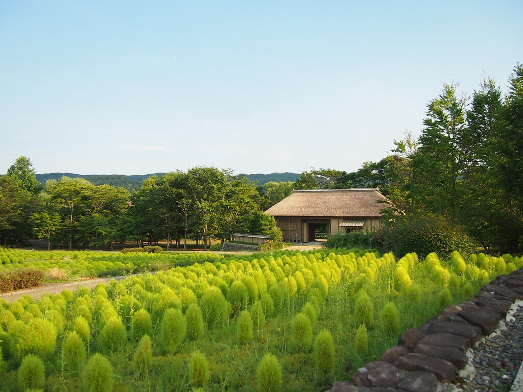 国営みちのく杜の湖畔公園の写真 ©Yuichiro Haga(CC BY 2.0)