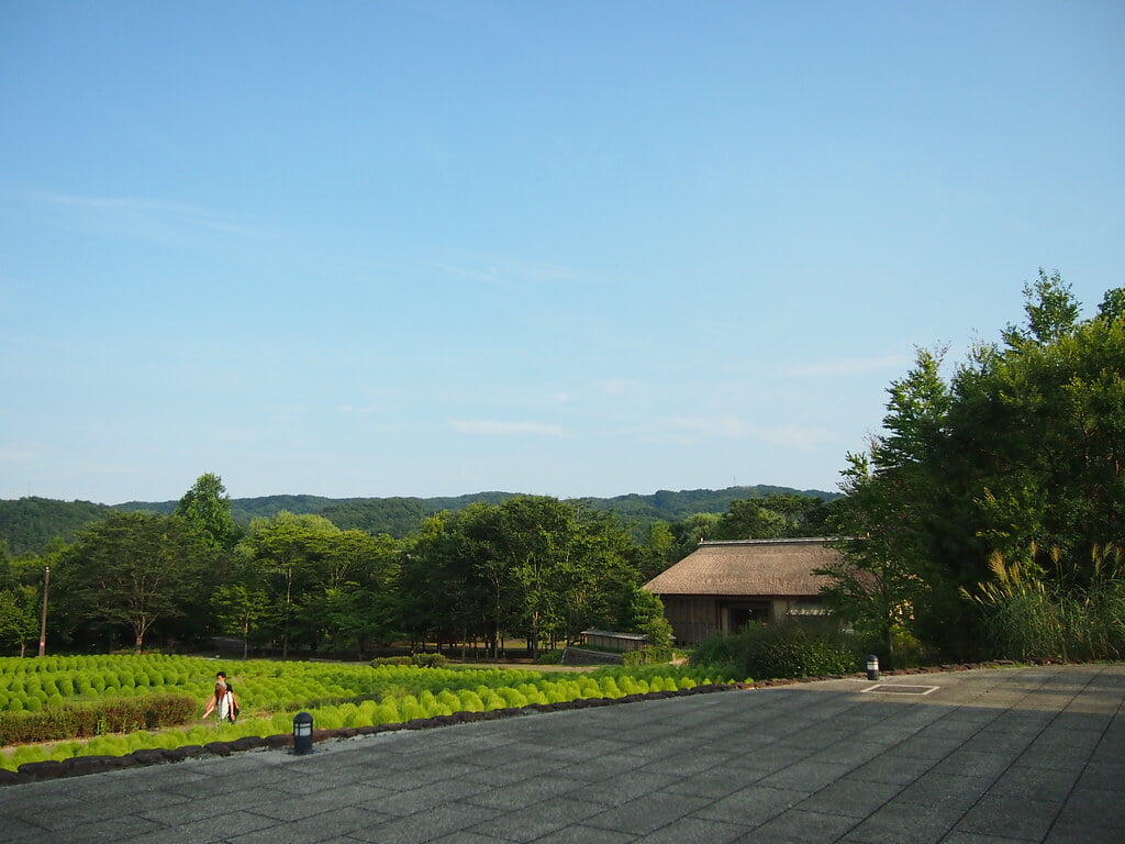 国営みちのく杜の湖畔公園の写真 ©Yuichiro Haga(CC BY 2.0)