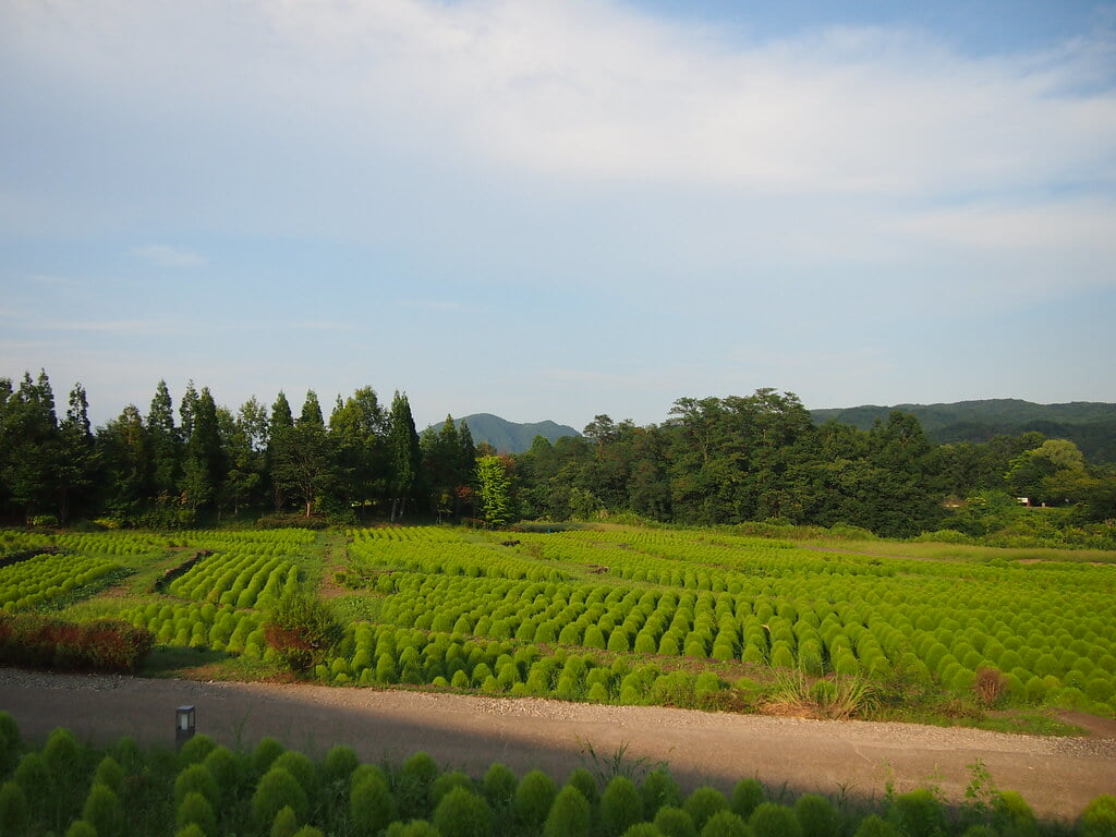 国営みちのく杜の湖畔公園の写真 ©Yuichiro Haga(CC BY 2.0)