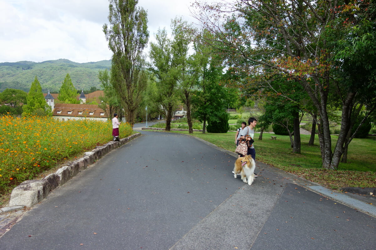 岡山農業公園 ドイツの森 クローネンベルクの写真 ©メルビル(CC BY-SA 4.0)