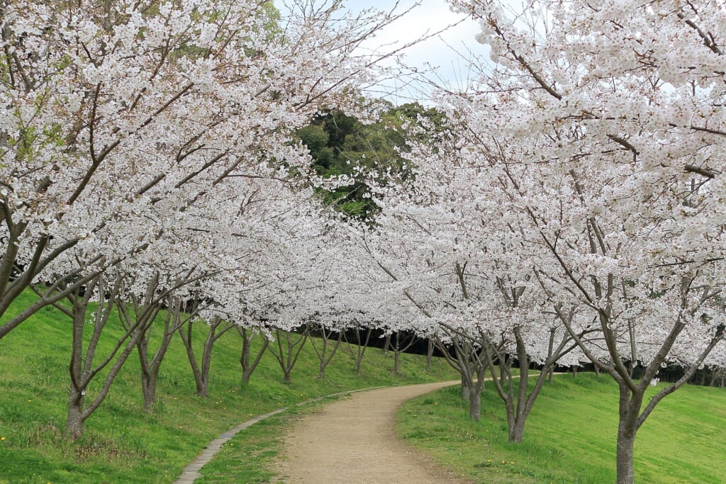 都田総合公園の写真 