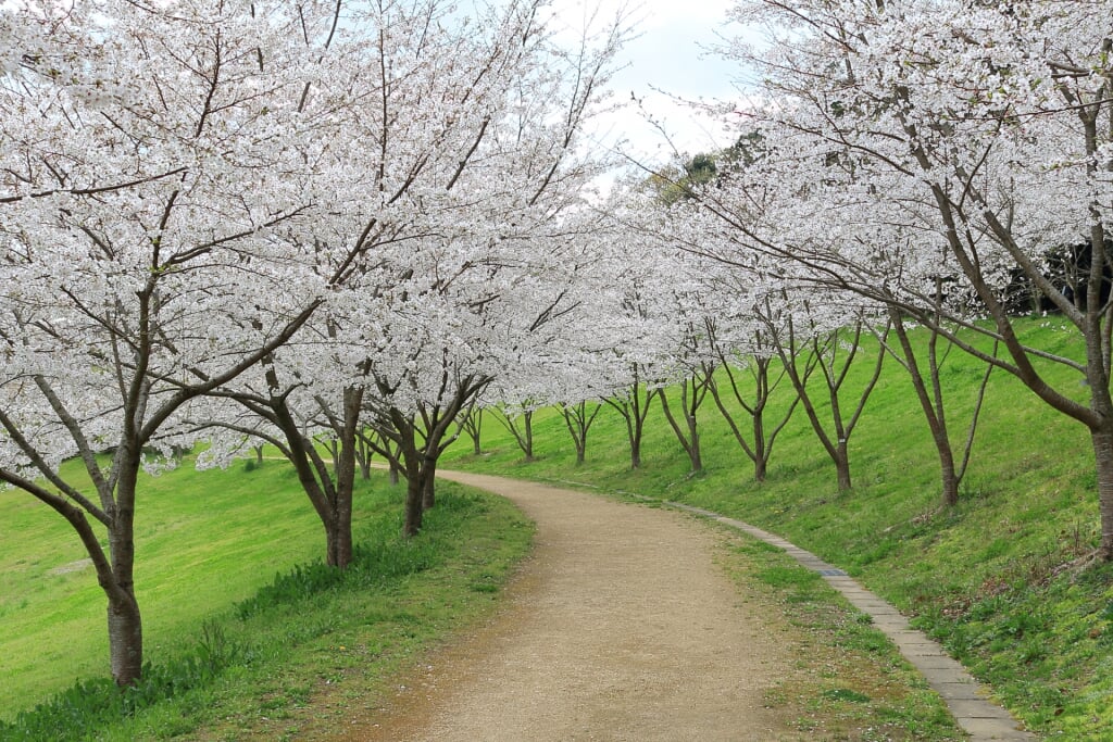 都田総合公園の写真 