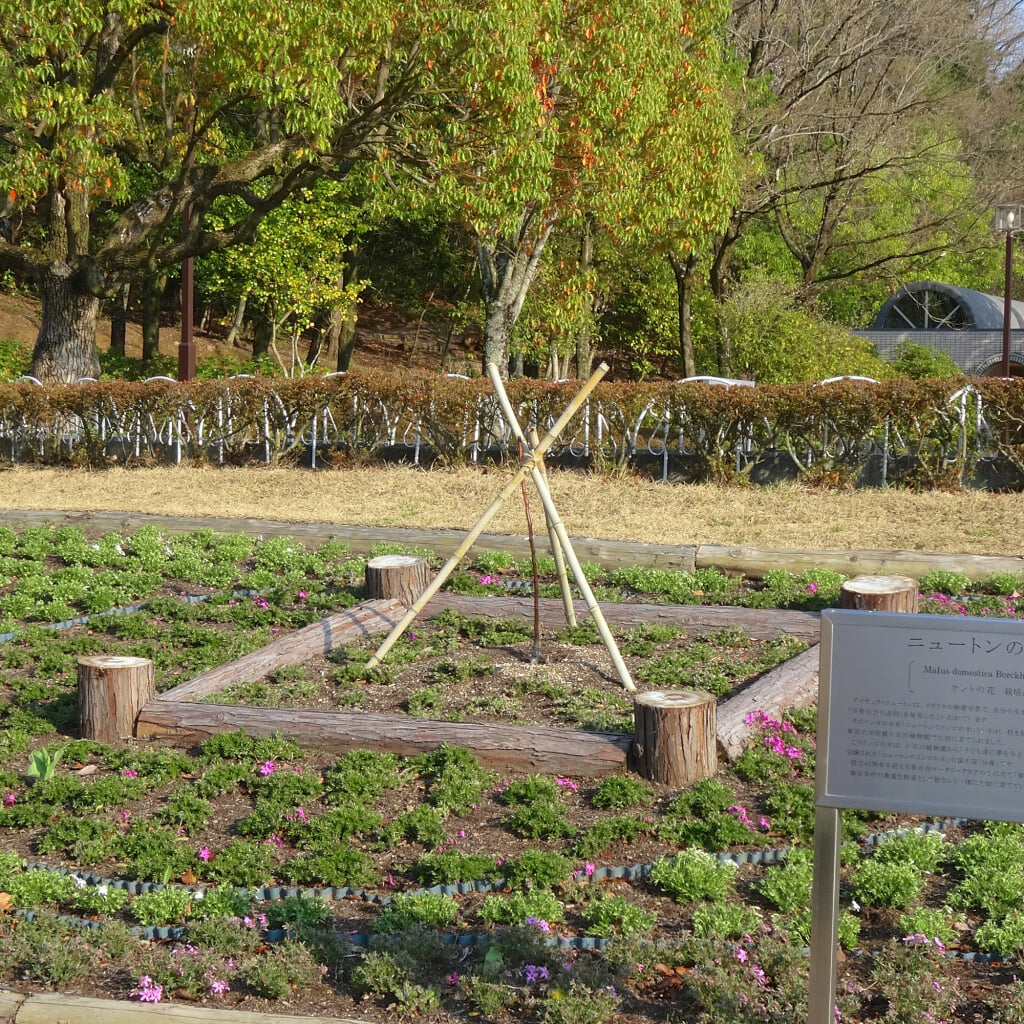 春日井市都市緑化植物園 グリーンピア春日井の写真 ©KKPCW(CC BY-SA 4.0)