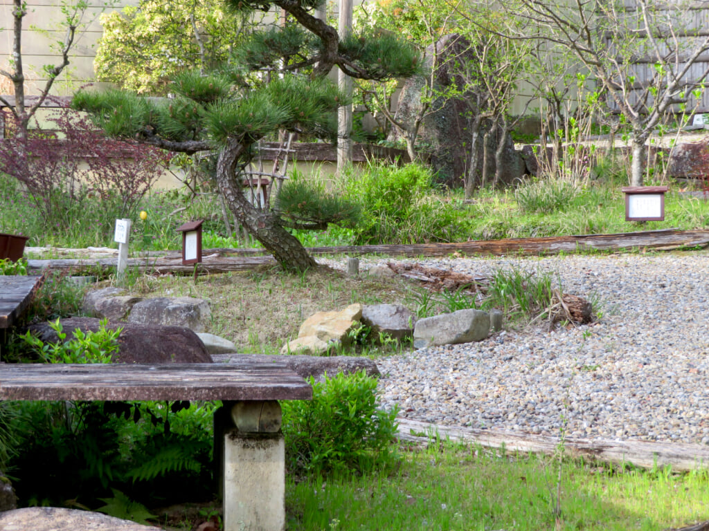 春日井市都市緑化植物園 グリーンピア春日井の写真 ©KKPCW(CC BY-SA 4.0)