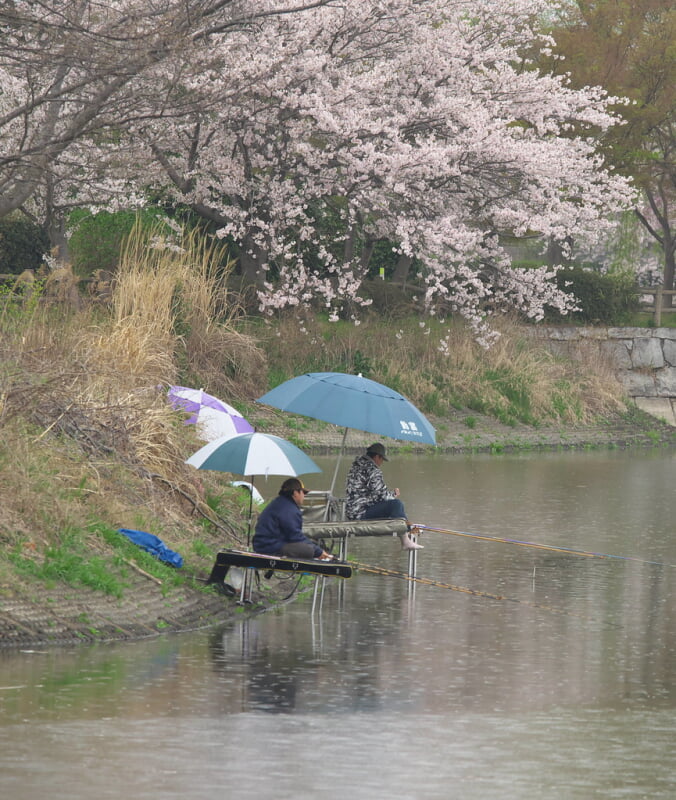 砂沼広域公園の写真 ©kushii(CC BY-ND 2.0)