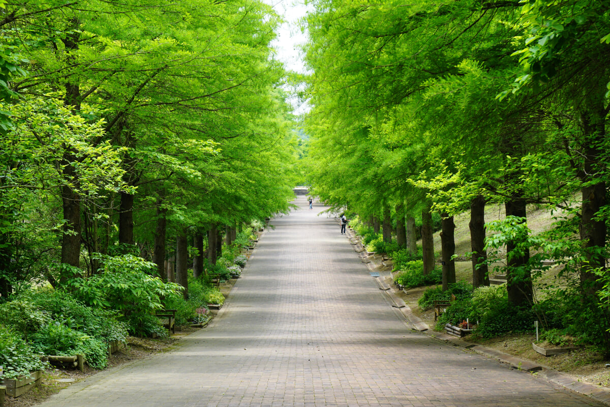 兵庫県立播磨中央公園の写真 ©663highland(CC-BY-SA-3.0)