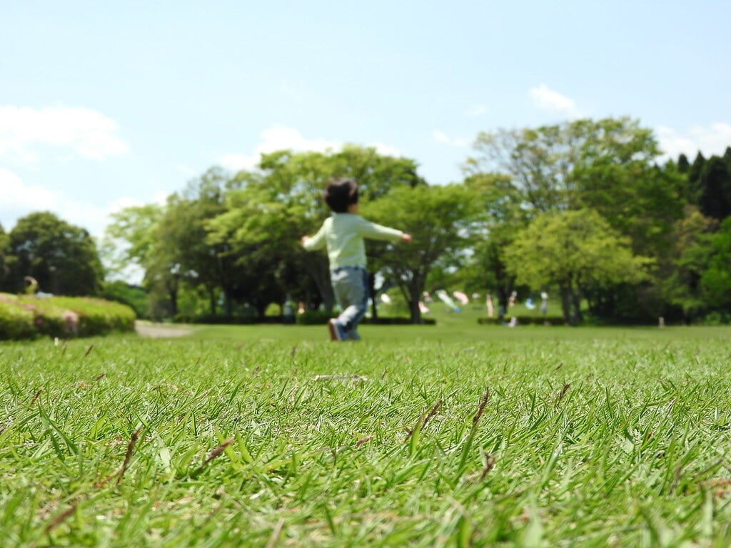 昭和の森の写真 ©NakaoSodanshitsu(CC BY 2.0)