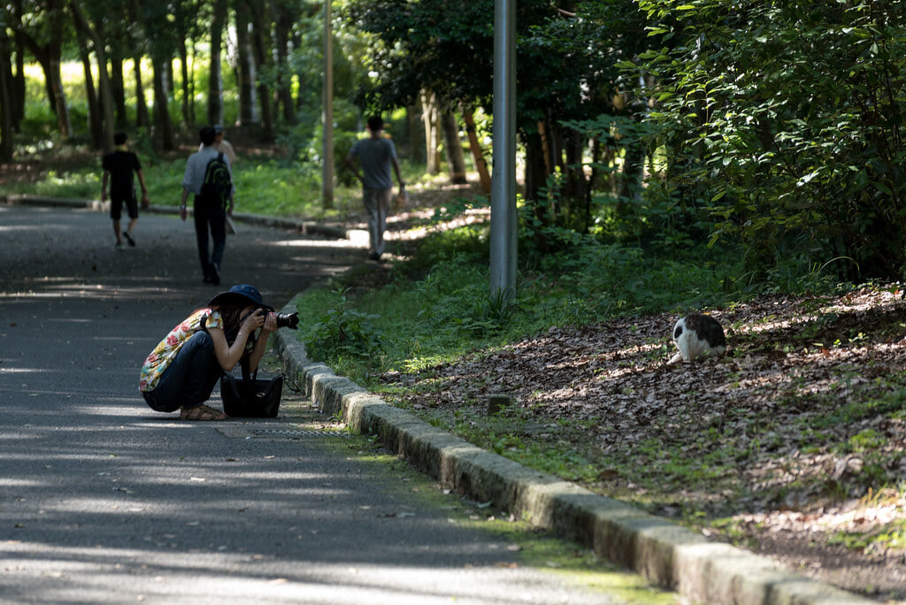 山田池公園の写真 ©jinkemoole(CC BY 2.0)