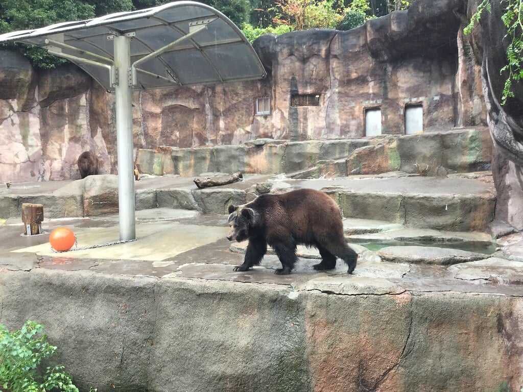 浜松市動物園の写真 ©inunami(CC BY 2.0)