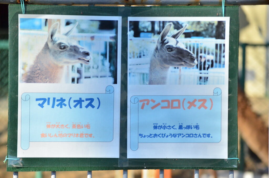 浜松市動物園の写真 ©tsukunepapa(CC BY 2.0)