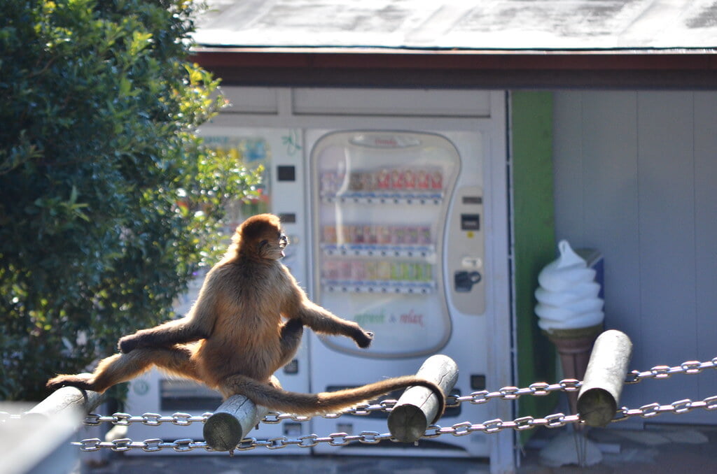 浜松市動物園の写真 ©tsukunepapa(CC BY 2.0)