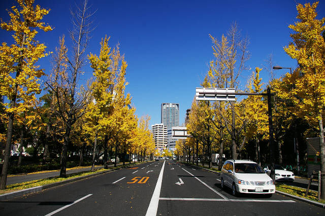 靱公園の写真 ©inoue-hiro(CC BY-SA 3.0)