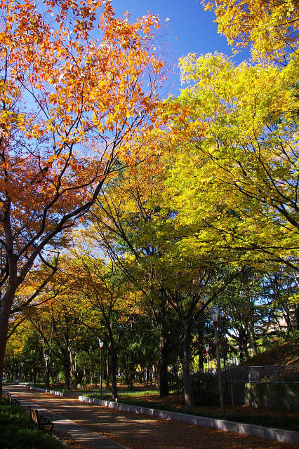 靱公園の写真 ©inoue-hiro(CC BY-SA 3.0)