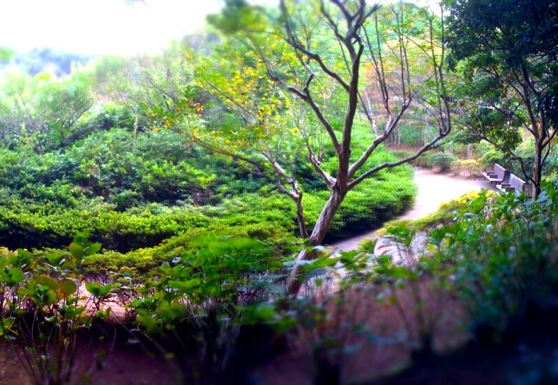 船橋市運動公園・プールの写真 ©ototadana(CC BY 2.0)