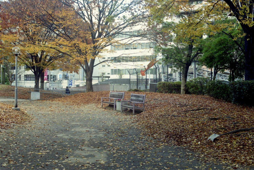 江坂公園の写真 ©shikabane taro(CC BY 3.0)