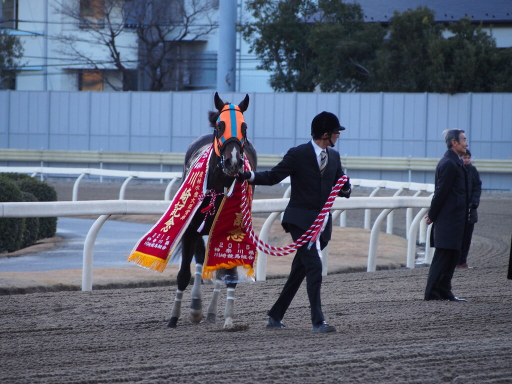 川崎競馬場の写真 ©nakashi(CC BY-SA 2.0)