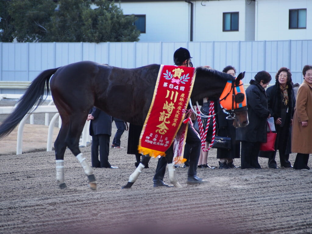 川崎競馬場の写真 ©nakashi(CC BY-SA 2.0)