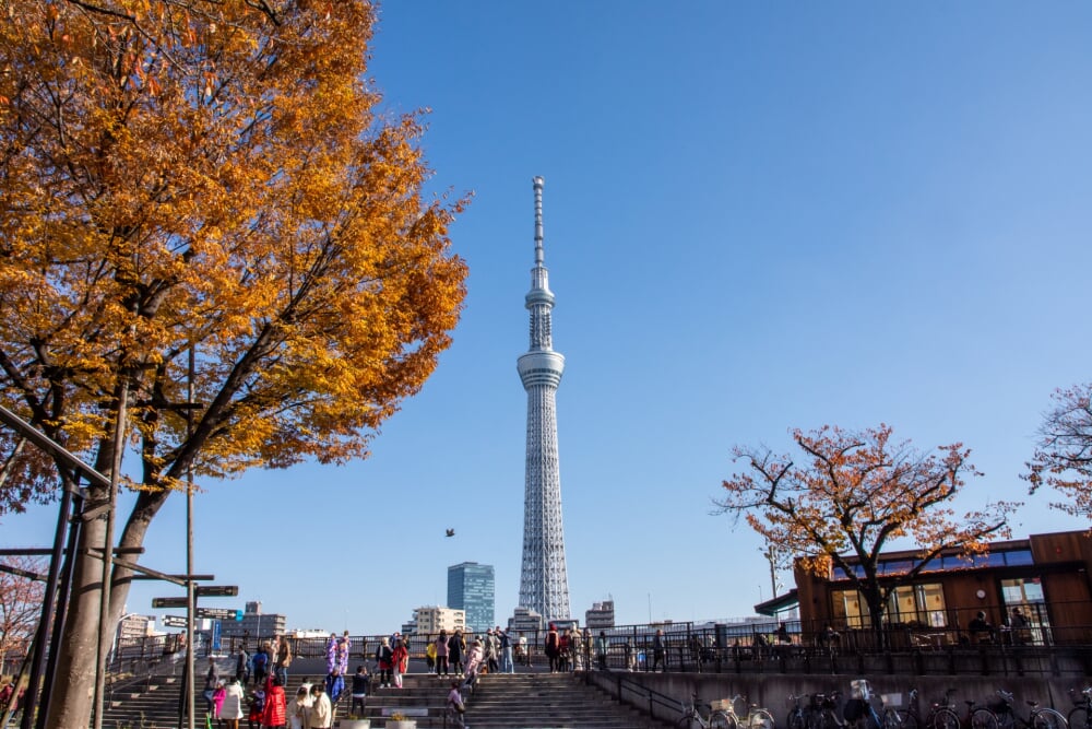 隅田公園の写真 