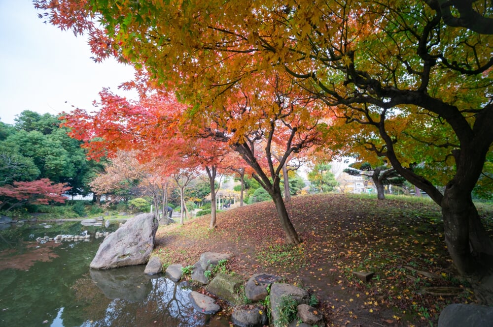 隅田公園の写真 