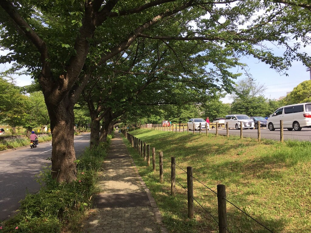 大泉中央公園の写真 ©Mikhail Kotykhov(CC BY 2.0)