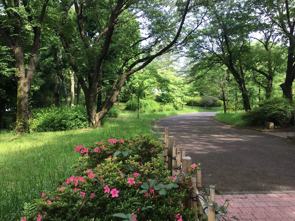 大泉中央公園の写真 ©Mikhail Kotykhov(CC BY 2.0)