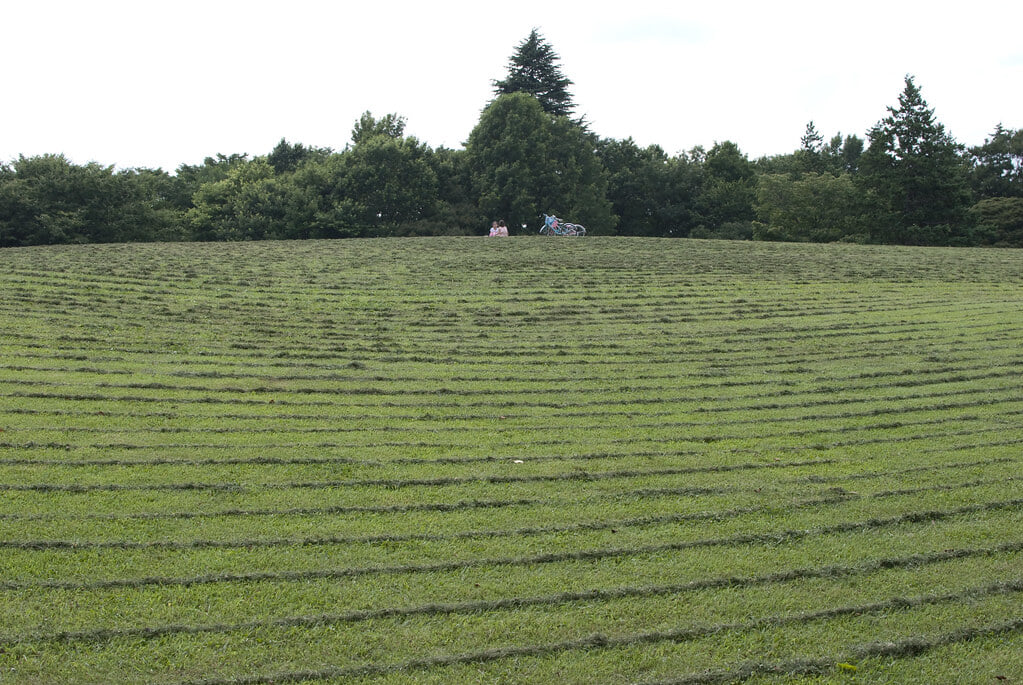 都立 府中の森公園の写真 ©e_s_jp(CC BY-SA 2.0)