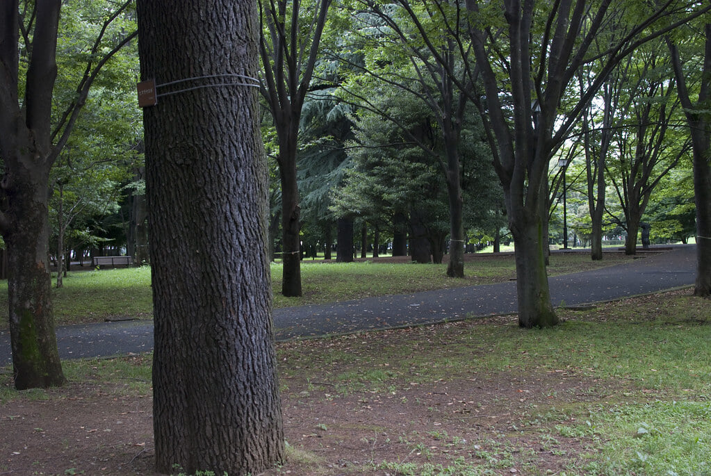 都立 府中の森公園の写真 ©e_s_jp(CC BY-SA 2.0)