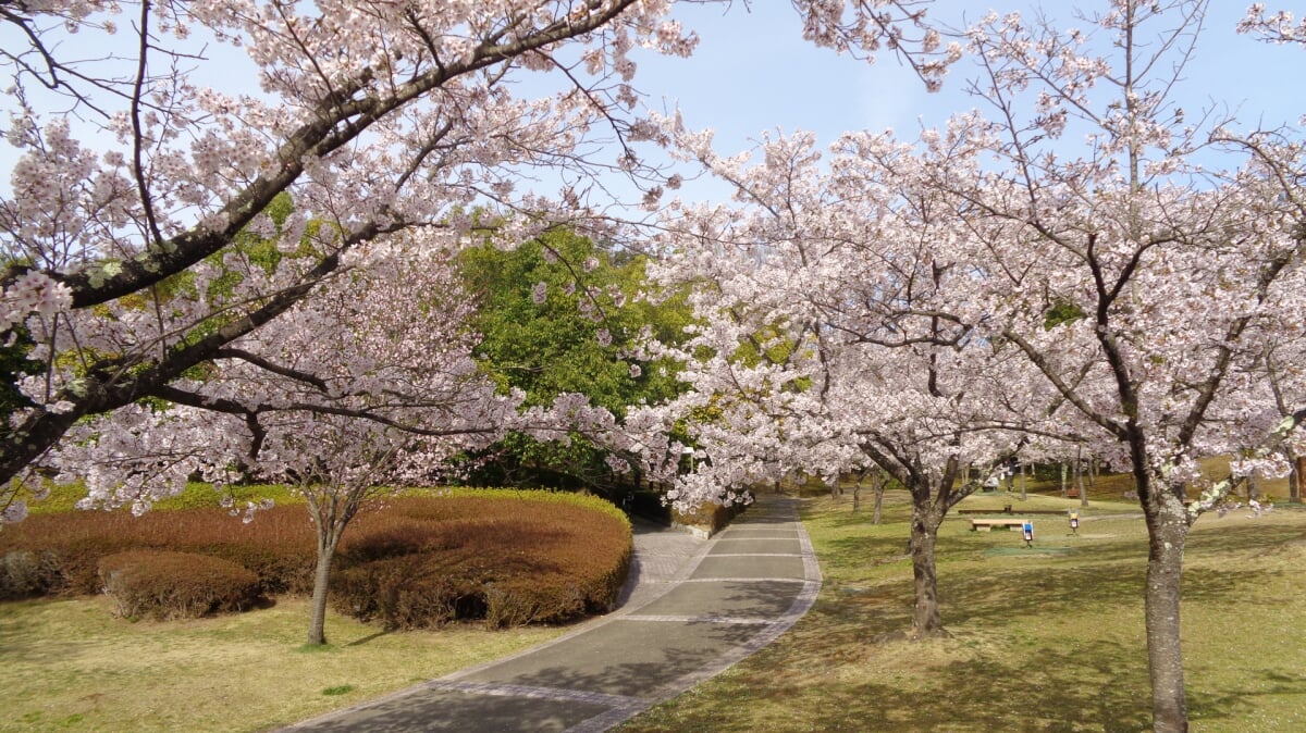 福島空港公園の写真 