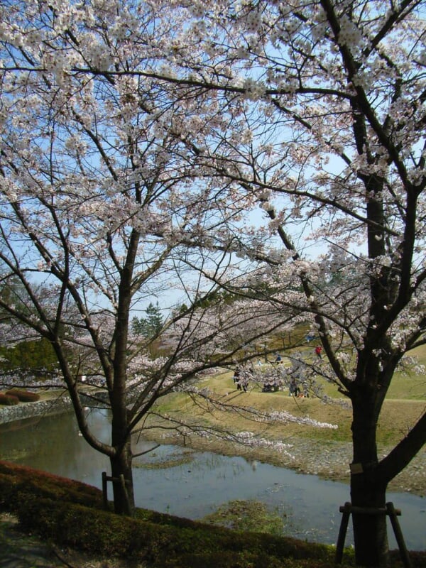 けいはんな記念公園の写真 ©Tamago Moffle(CC BY-SA 2.0)