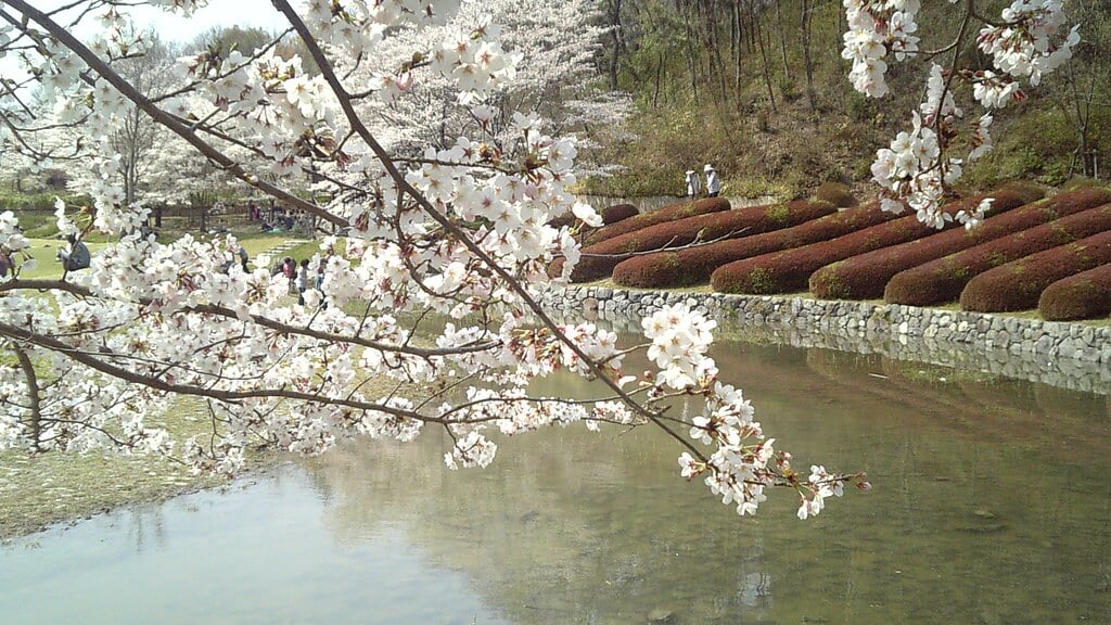 けいはんな記念公園の写真 ©Tamago Moffle(CC BY-SA 2.0)