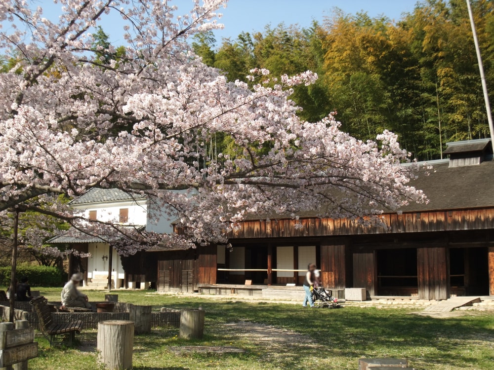 服部緑地の写真 ©hashi photo(CC BY 3.0)