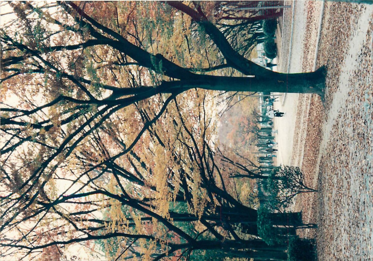 長居公園の写真 ©Mr.Naka guutarabunko(CC0)