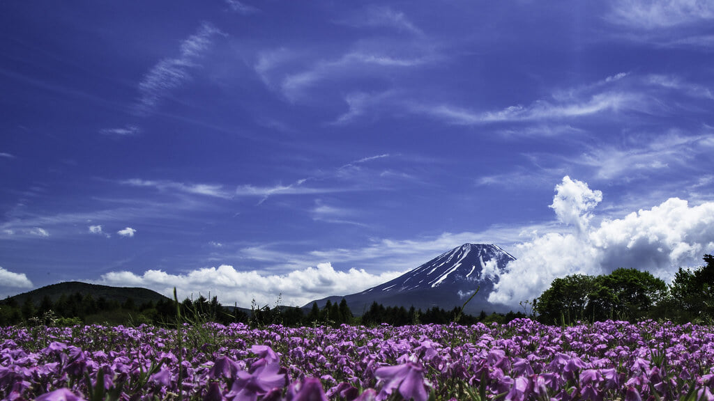 河口湖の写真 ©kumiko nakashima(CC BY-SA 2.0)