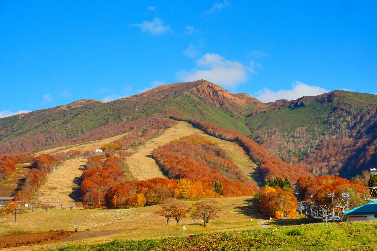 たざわ湖スキー場の写真 ©掬茶(CC BY-SA 4.0)