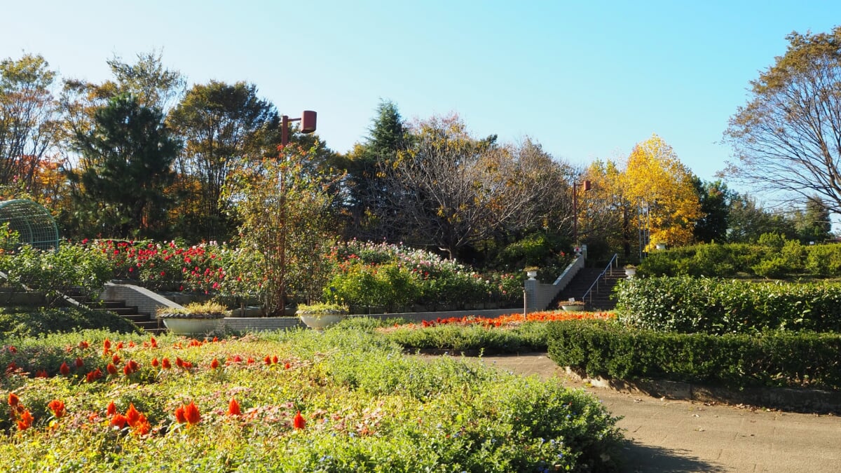 狭山市都市緑化植物園の写真 