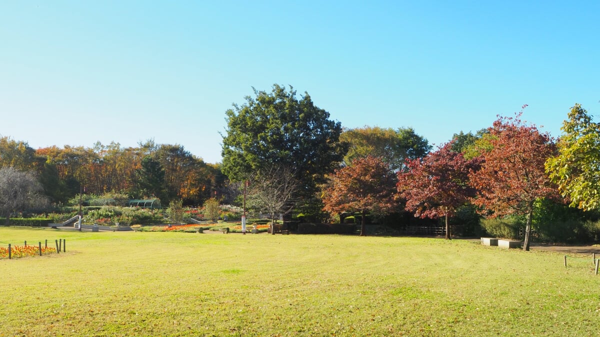 狭山市都市緑化植物園の写真 