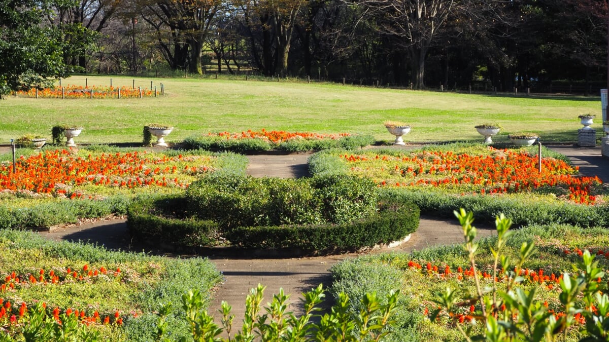 狭山市都市緑化植物園の写真 