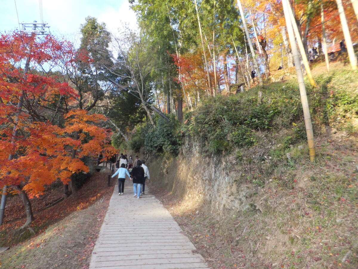 最上山公園・もみじ山の写真 ©Mti(CC BY-SA 3.0)