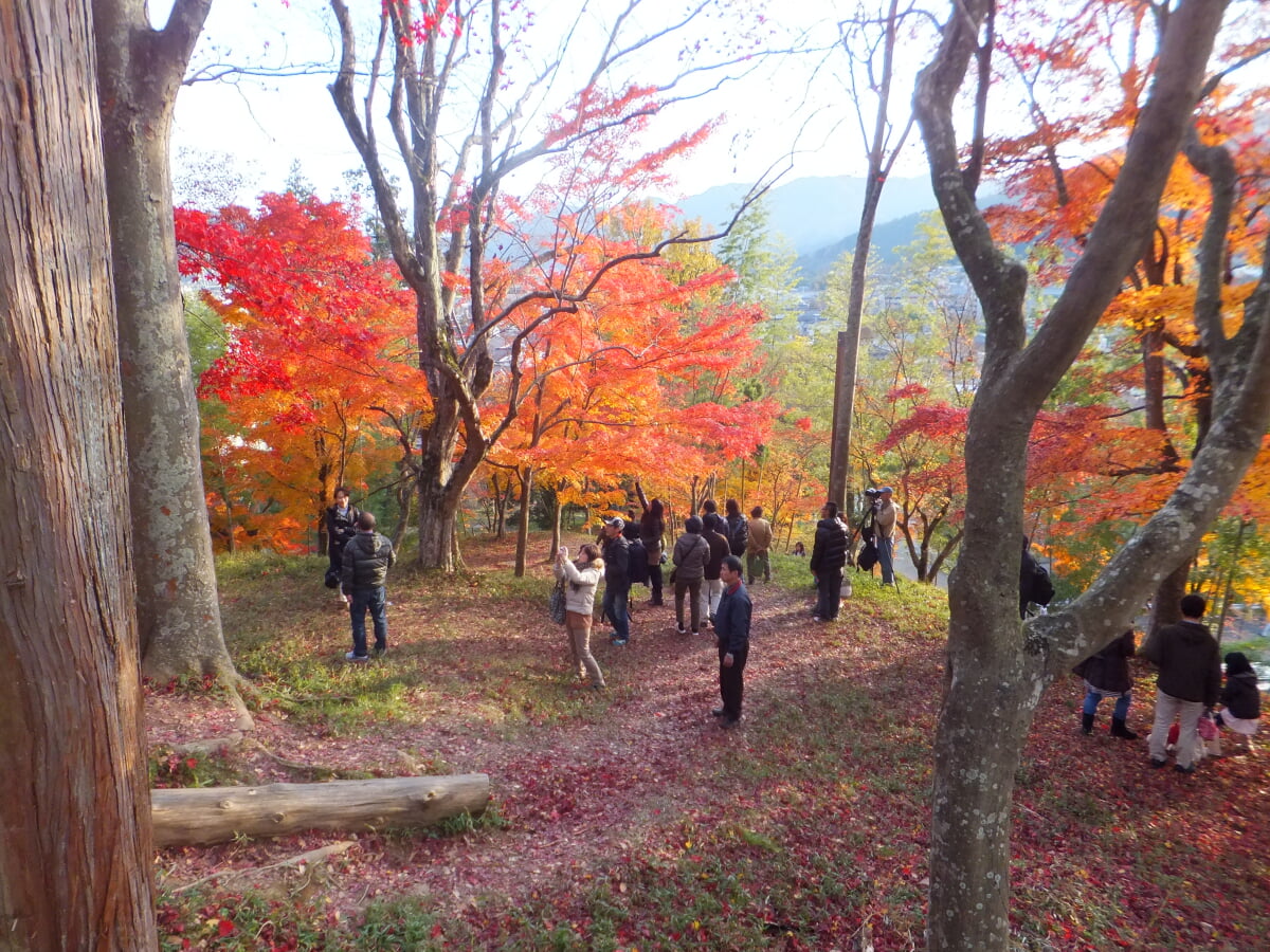 最上山公園・もみじ山の写真 ©Mti(CC BY-SA 3.0)