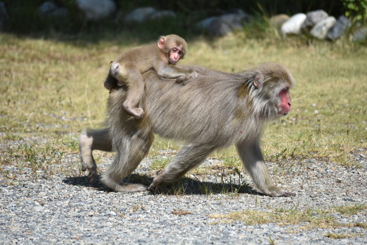 大町エネルギー博物館の写真 ©江戸村のとくぞう(CC BY-SA 4.0)