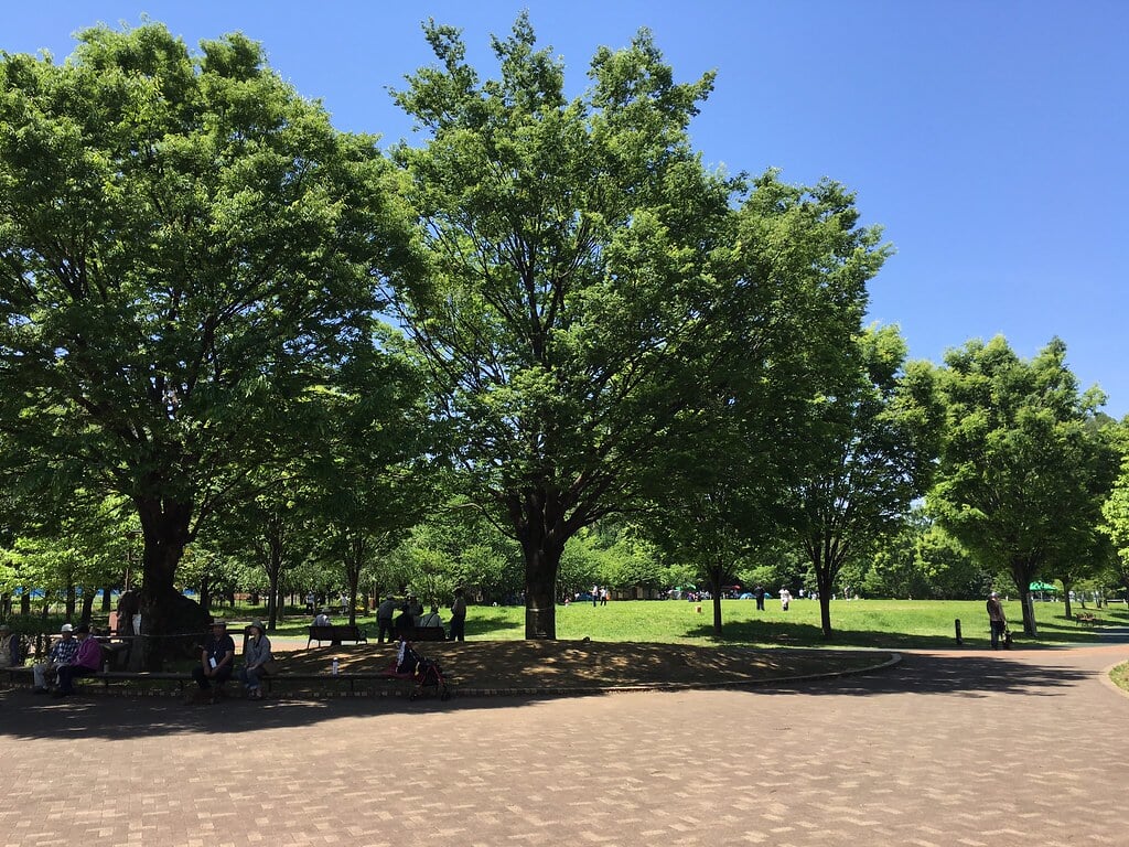 西東京いこいの森公園の写真 ©Mikhail Kotykhov(CC BY 2.0)