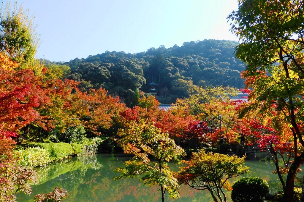 永観堂の写真 ©Tetsuhiro Terada(CC BY 2.0)