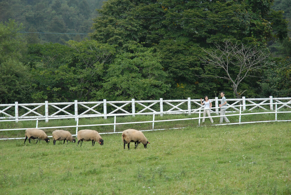 山梨県立まきば公園の写真 ©BONGURI(CC BY-ND 2.0)