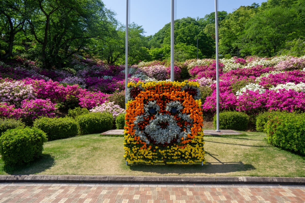 西山公園の写真 