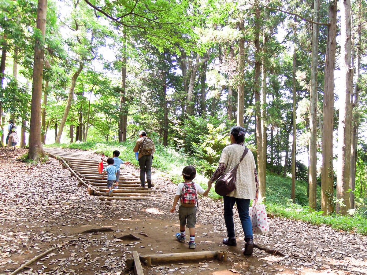 坂田ヶ池総合公園の写真 