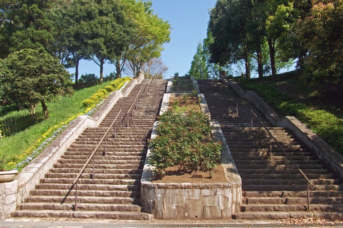 坂田ヶ池総合公園の写真 