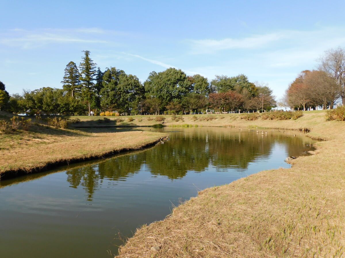 みずほの自然の森公園の写真 ©Miyuki(CC BY-SA 4.0)